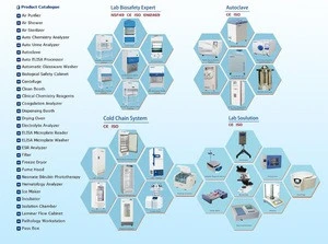 Lab And Hospital Automatic Pure Water Purification Machine RO DI Water Purifier With Cheap Price