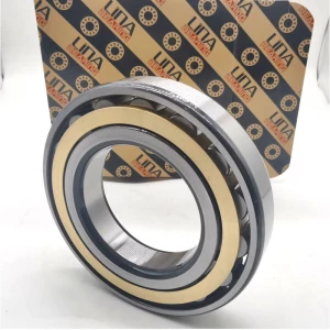 LINA Automobile Gearbox Bearing F-24303.04 F-846067 OEM Cylindrical Roller Bearing F-217843 F-225538