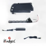 lithium ion battery pack 48v 20Ah with BMS for electric bike motorcycle  scooter golf cart