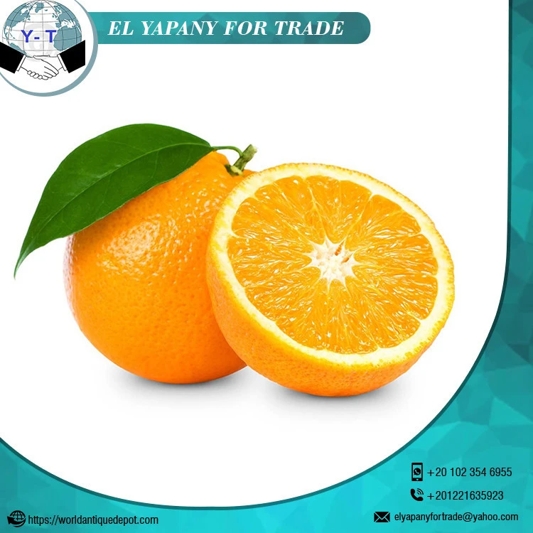 Lowest Price Fresh Citrus Orange Fruits