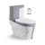 Import Luxury Marble Toilets  Gold Line Design S-trap  One Piece Toilet  Dual Flush Water Closet Rimless Flushing Toilet from China