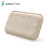 LuzhouPack Disposable Packaging Biodegradable Sugarcane Bagasse Vegetable Fruit Meat Frozen Food Plate Trays