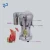 Import Manufactory Direct Sale Good Quality juice extractor manual for Price from China