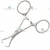 Import Medical Basic Surgery Instruments Backhaus Towel Forceps Towel Tongs from Pakistan