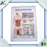 Medicine Promotion Medical Teaching Aids