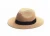 Import Mens Fedora paper straw Hat Summer Beach Sun Straw Panama Hats And Caps from China