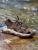 Import Mens Waterproof Hiking Shoes Non-slip Trail Running Shoes Outdoor Boots Water Trekking Sneakers For Male from China