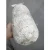 Import Middle Temperature Oyster mushroom spawn to sale from China