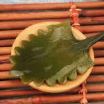 N04-5 chinese seafood Fresh Salted kelp seaweed head