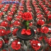 Natural Handmade Long Time Dried Preserved Flower Rose Eternal Life in Glass for Wholesale