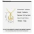 Import New Arrival Dainty Beautiful Necklace 18k Real Gold Crown Pendant Necklace Jewelry Yellow Color In Au 750 Necklace from China