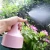 Import New Design and Fancy Mini Watering Can for Garden from China