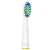 Import New design replacement toothbrush head from China