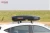 Import New Design Universal Car Top Roof Luggage Storage Cargo Carrier Box from China