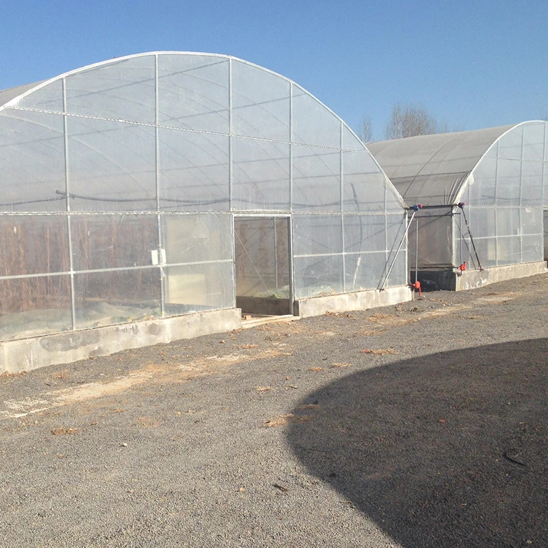 New design uv resistant agricultural pe greenhouses film design