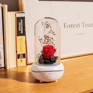 New flower air aroma physical fan diffuser fragrance aromatherapy machine with colorful lamps