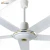 Import New model metal 5 blade ceiling fan large aluminum motor factory industrial ceiling fans from China