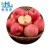 Import Nice pome fruit 85mm fresh fuji apple for Malaysia wholesaler from China