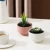 Import Nordic Wholesale Modern Porcelain Living Room Flower Pot Unique Ceramic Succulent Plant Pot from Pakistan