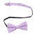 Import novelty cheap hand made purple striped polyester self tie bow tie and bow tie set for men from China