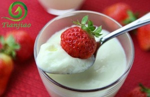 Nutritious plain yogurt powder for homemade yogurt