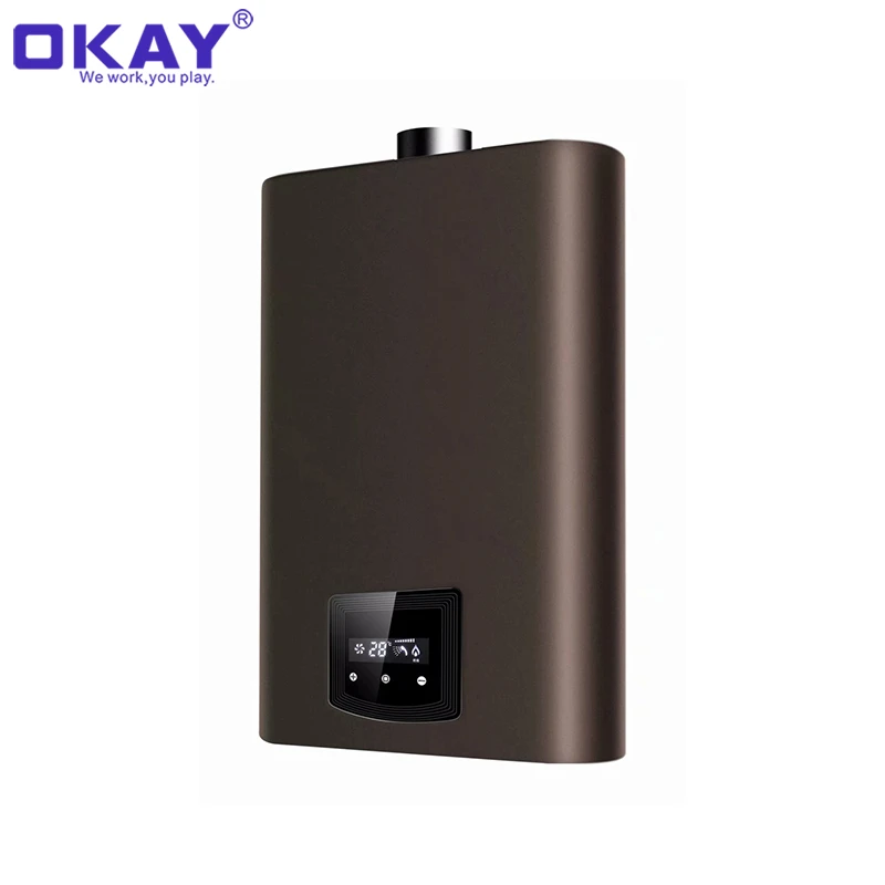 On Demand Portable Shower Instantaneous Gas Boiler Hot Water Heater For Home