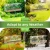 Import Outdoor Hanging Window Bird Cage Clear Acrylic Wild Bird Feeder from China