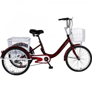 Pedal Assist Electric Bicycle 20 Inch 3 Wheel Ebike