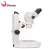 Import Phenix Zoom Ratio WF10X eyepiece 6.2X-50X Binocular Stereoscopic Top LED Light Microscope for Jewelry from China
