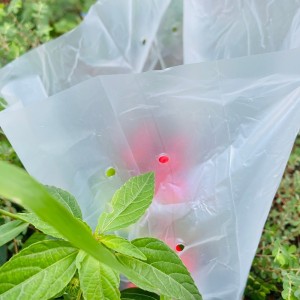 PLA Vegetable Package Shopping Degradable Bag