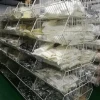 Polycarboxylic acid monomer  polycarboxylic acid water reducer monomer