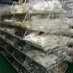 Polycarboxylic acid monomer  polycarboxylic acid water reducer monomer
