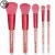 Import Popular 5pcs makeup brush set from China