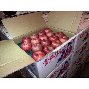 popular flavor high quality and cheap price fuji apple fresh fruit