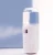 Import Portable handy handheld skin mister steam machine portable face nano mini facial steamer for cleaning from China