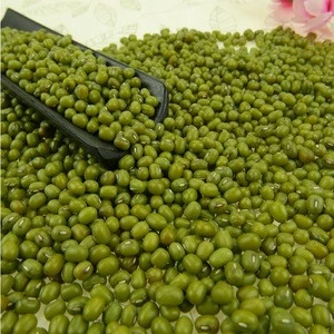 Prime Quality Green Mung Beans For Sprouting