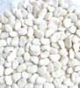 Private Brand Air Drying 14% Max Moisture Butter Beans Lima Beans in Bulk Packaging