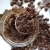 Import Private label Coffee Body Scrub Wholesale Spa Salt Natural Organic Whitening Exfoliating Body Scrub from China