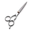 Professional Hair Cutting Thinning Scissors Barber Shears Hairdressing Salon