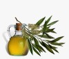 pure Tea Tree Oil of India