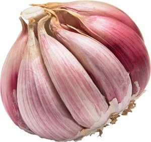 Purple Garlic Dalat/ Fresh Garlic