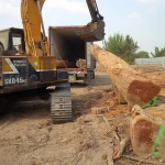 Pyinkado round logs timber