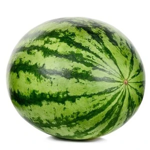 Quality Fresh Water Melons