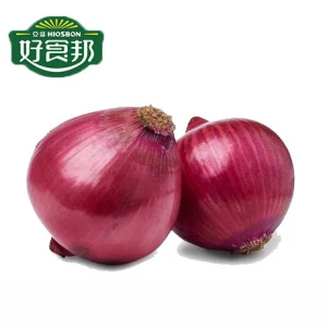 Red Onion Importers Fresh Vegetables Onion Price Ton for Buyers