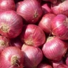 Red Onion