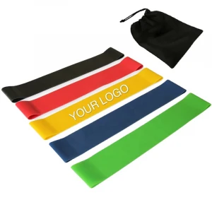 Resistance Exercise Band 5 Resistance Band Loops with Instructional Booklet Carry Bag