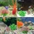 Import S size 7 Pack Plastic Lifelike Vividly Seaweed Aquarium Decoration Accessories Kit for Small Fish Tank Artificial Aquatic Plants from China
