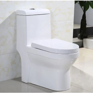 S-trap Wash Down Sanitary Ware Floor Mounted Ceramic One Piece toilet auger lowes rv wall mounted toilet bowls