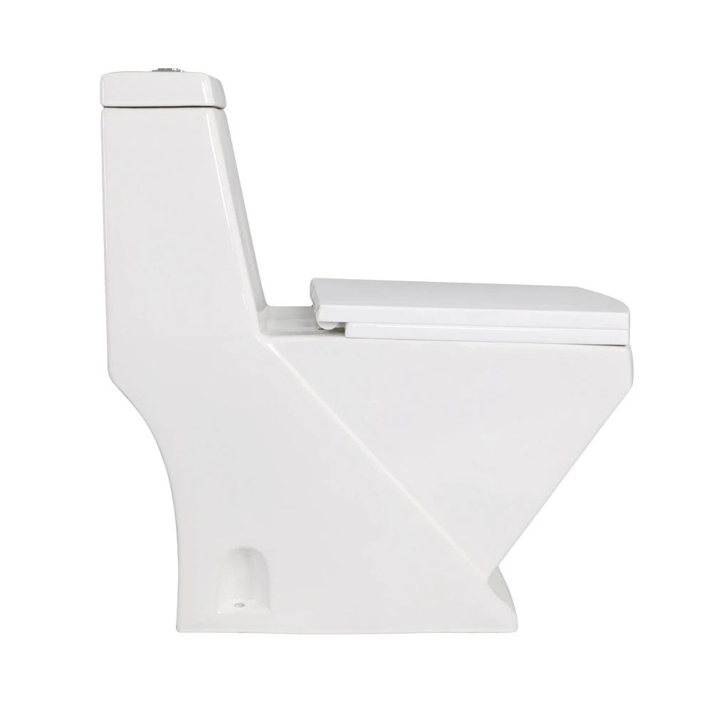 Sanitary Ware Washdown Bathroom Ceramic Basin Toilet Set