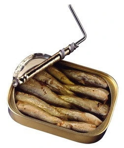 sardine,canned sardine fish in oil,